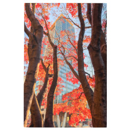 Impresión En Metal Ciudad Roja