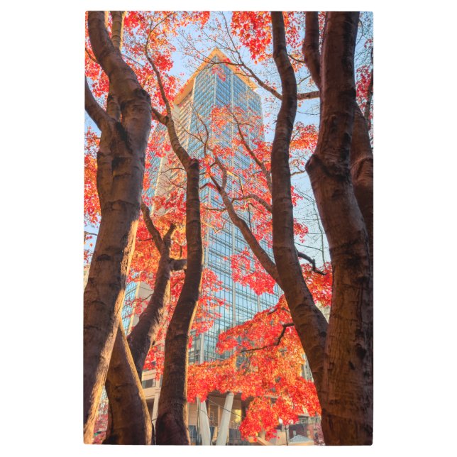 Impresión En Metal Ciudad Roja (Anverso)