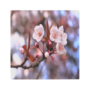 Impresión En Metal Clúster con flores de cerezo con rosa y azul