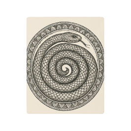 Impresión En Metal Coiled Snake Metal Print