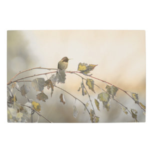 Impresión En Metal Colibrí 5265