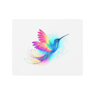 Impresión En Metal Colibrí arcoiris exótica