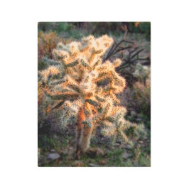 Impresión En Metal Colla brillante