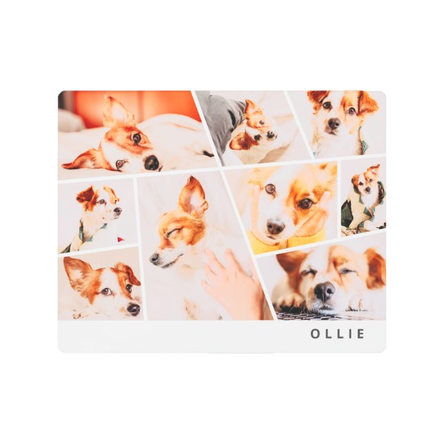 Impresión En Metal Collage de fotos de mascotas modernos y simples Pe (Anverso)