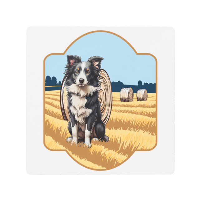 Impresión En Metal Collie de borde en la granja (Anverso)