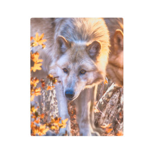 Impresión En Metal Colores AUTUMN GRIEGO Wolf Puppy Metalizado Imprim
