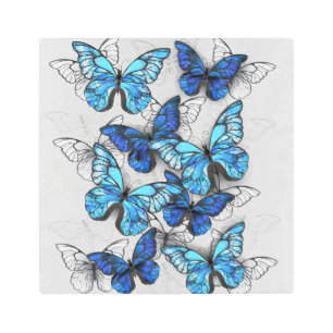 Impresión En Metal Composición de las mariposas blancas y azules