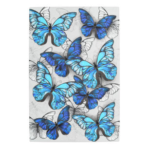 Impresión En Metal Composición de las mariposas blancas y azules