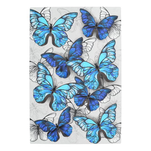 Impresión En Metal Composición de las mariposas blancas y azules (Anverso)