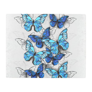 Impresión En Metal Composición de las mariposas blancas y azules
