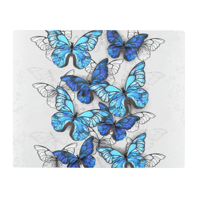 Impresión En Metal Composición de las mariposas blancas y azules (Anverso)