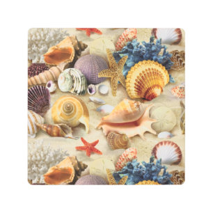 Impresión En Metal conchas marinas en la playa