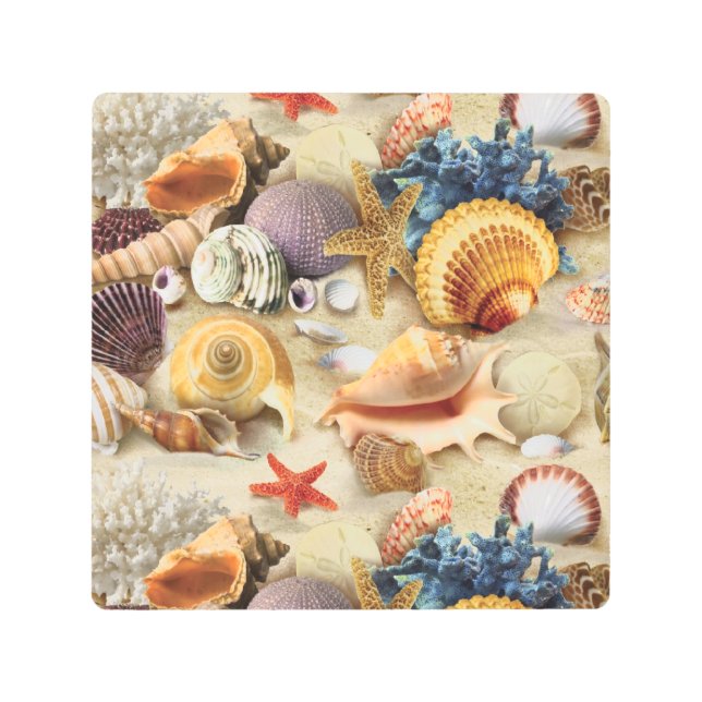 Impresión En Metal conchas marinas en la playa (Anverso)