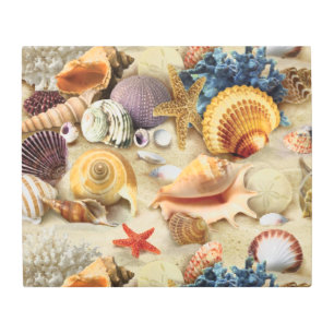 Impresión En Metal conchas marinas en la playa