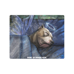 Impresión En Metal Condolencia por pérdida de la simpatía de Pitbull