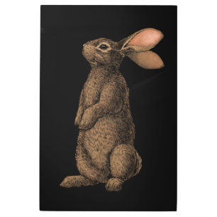 Impresión En Metal Conejo