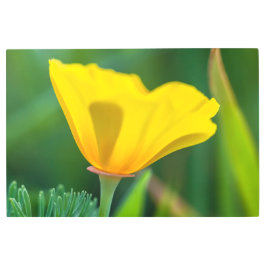 Impresión En Metal Coppies y abejas