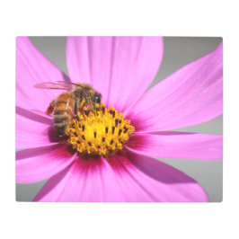 Impresión En Metal Cosmos y Bee