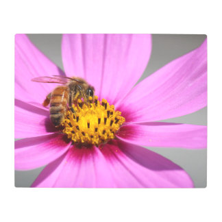 Impresión En Metal Cosmos y Bee