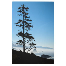 Impresión En Metal Costa de Oregón