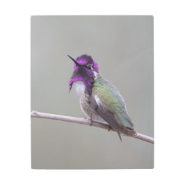 Impresión En Metal Costura costarricense