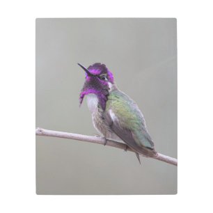 Impresión En Metal Costura costarricense