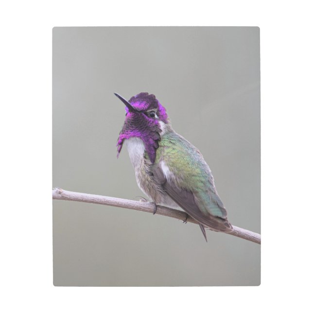 Impresión En Metal Costura costarricense (Anverso)