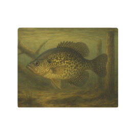 Impresión En Metal Crappie Metal Print