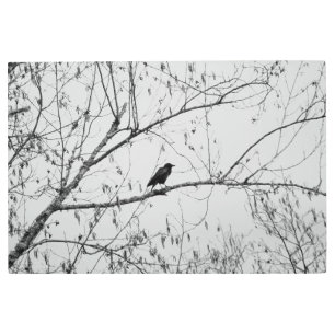 Impresión En Metal Crow en un árbol de aves