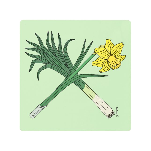 Impresión En Metal Cruzado de puerros y daffodil (Anverso)