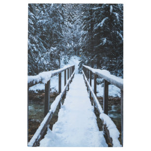 Impresión En Metal Cruzando el río en invierno