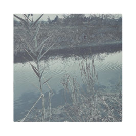 Impresión En Metal Cuadros artificiales - republicados 80