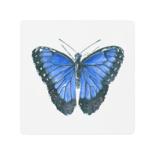 Impresión En Metal Cuadros de acuarela de morfo azul