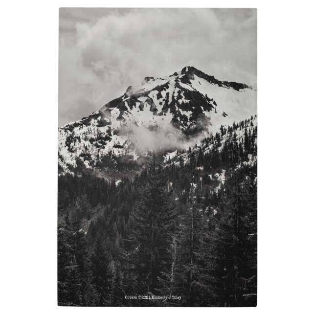 Impresión En Metal Cubiertas (Anverso)