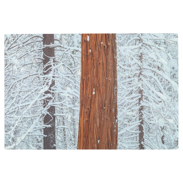 Impresión En Metal Cubierto (Anverso)