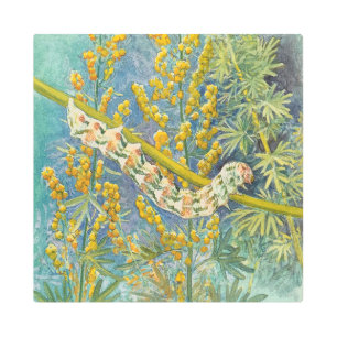 Impresión En Metal Cucullia Absinthii Wormwood Caterpillar