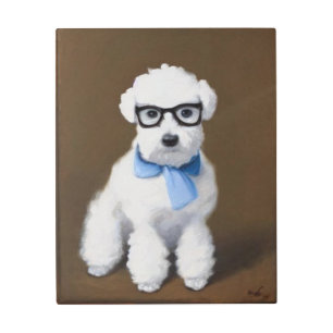 Impresión En Metal Cute Bichon Frisé Viendo Gafas