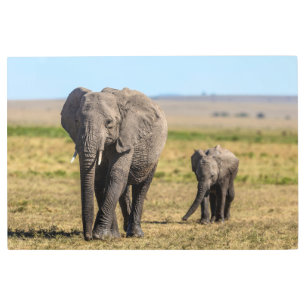 Impresión En Metal Cutest Baby Animals   Elephant Mother & Baby