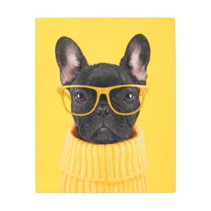 Impresión En Metal Cutest Baby Animals French Bulldog Sunglasses