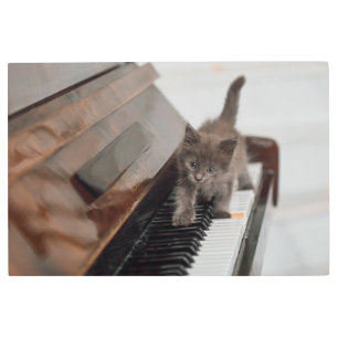 Impresión En Metal Cutest Baby Animals   Kitten on Piano