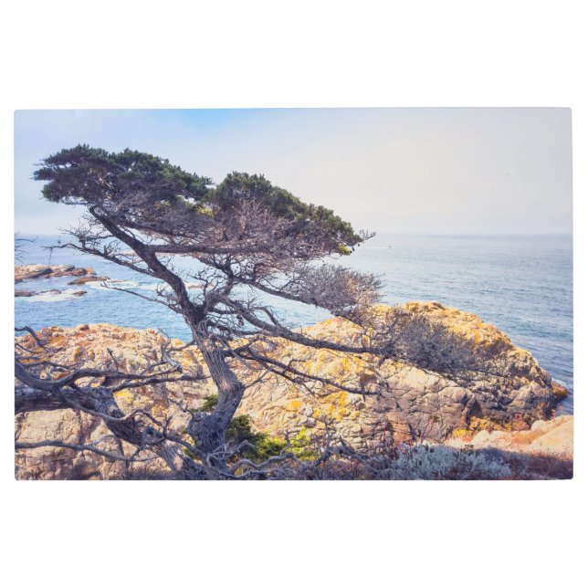 Impresión En Metal Cypress en el mar (Anverso)