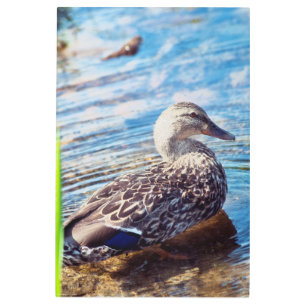 Impresión En Metal Dabbling Ripples