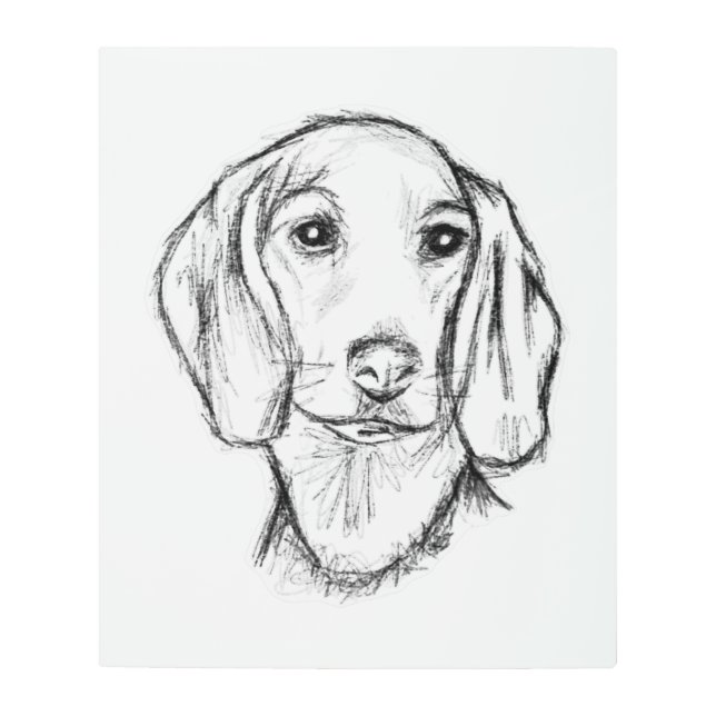 Impresión En Metal dachshund sketch a mano perro cachorro blanco negr (Anverso)
