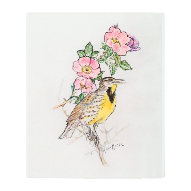 Impresión En Metal Dakota del Norte (Anverso)