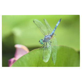 Impresión En Metal Dasher azul