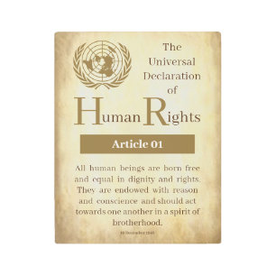 Impresión En Metal Declaración Universal de Derechos Humanos Artículo