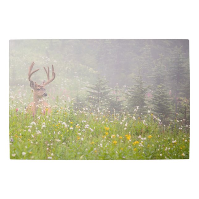 Impresión En Metal Deer Buck | Mount Rainier National Park (Anverso)