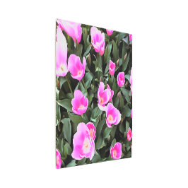 Impresión En Metal Delicados tulipanes rosas de Estambul