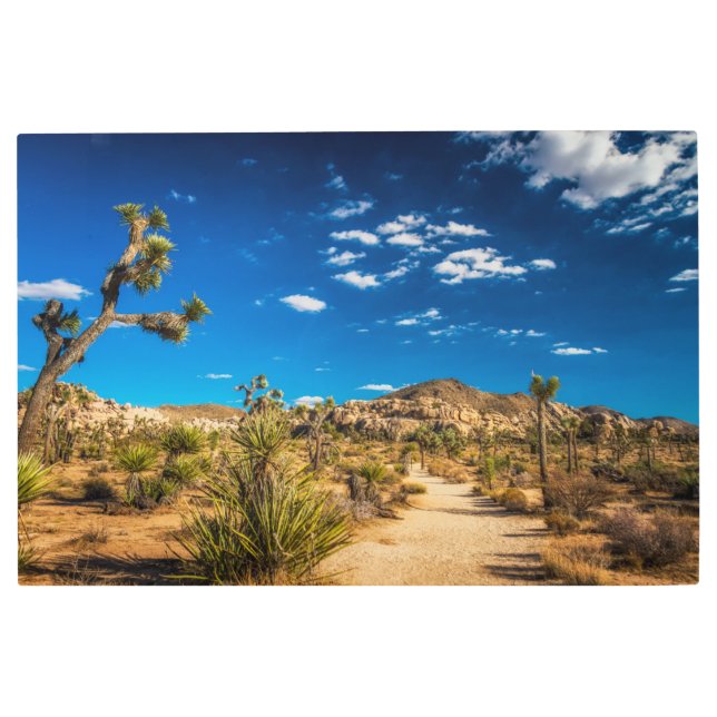 Impresión En Metal Deserts | Joshua Tree National Park (Anverso)