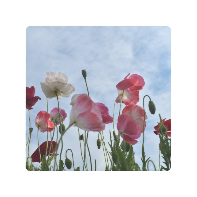 Impresión En Metal Desfile de Coppies (Anverso)